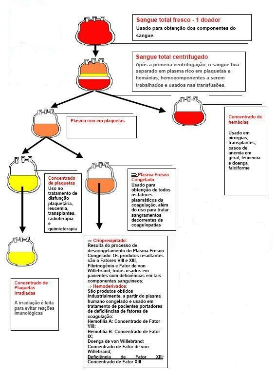 hemocomponentes e hemoderivados